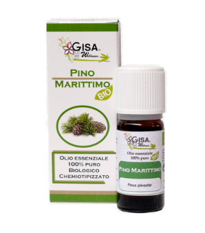 PINO MARITTIMO BIO 10 ML