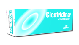 CICATRIDINA UNGUENTO NASALE 15 G