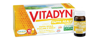 VITADYN PAPPA REALE 1000 10 FLACONCINI 10 ML