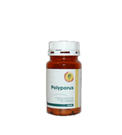 POLYPORUS LINEA BASIC 120 COMPRESSE 108 G