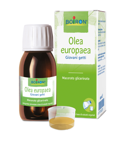 OLEA EUROPAEA MACERATO GLICERICO 60 ML INT