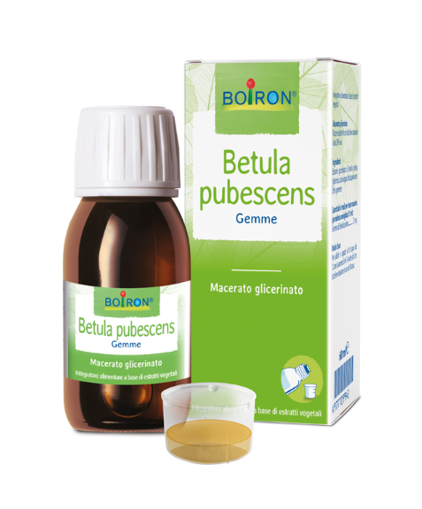 BETULA PUBESCENS MACERATO GLICERICO 60 ML INT