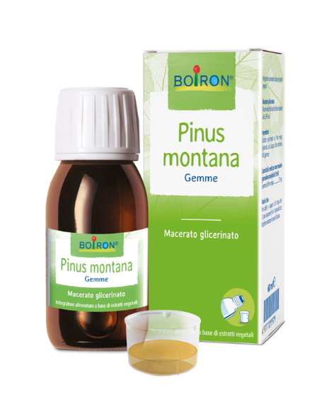 PINUS MONTANA MACERATO GLICERICO 60 ML INT