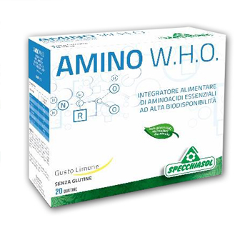 AMINO WHO 20BUST - O