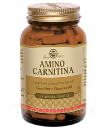 AMINO CARNITINA 30CPS