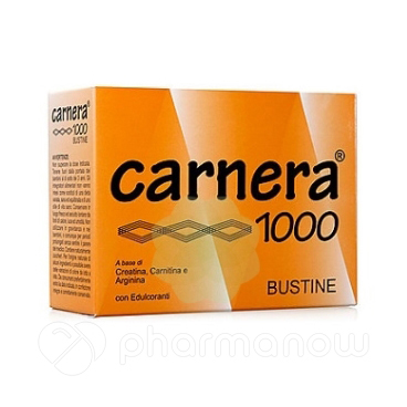 CARNERA 1000 18BUST