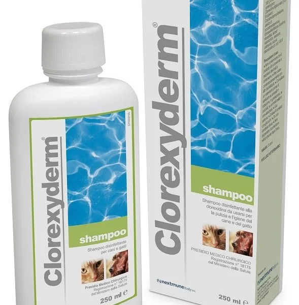 CLOREXYDERM SHAMPOO 250 ML