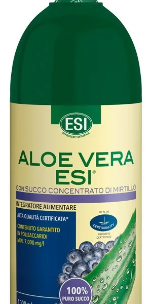 ESI ALOE VERA SUCCO MIRTILLO 1000 ML