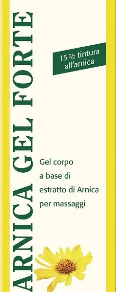 THEISS ARNICA GEL FORTE 100 ML