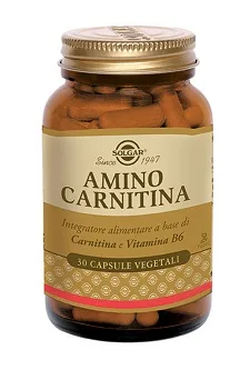 AMINO CARNITINA 30 CAPSULE