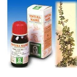 UVA URSINA 30 50ML TM