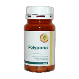 POLYPORUS LINEA BASIC 120 COMPRESSE 108 G