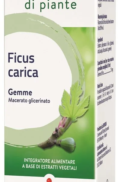 FICUS CARICA BOIRON MACERATO GLICERICO 60 ML