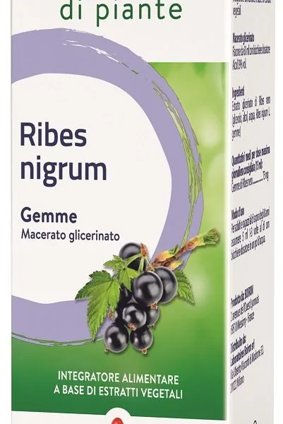 RIBES NIGRUM BOIRON MACERATO GLICERICO 60 ML