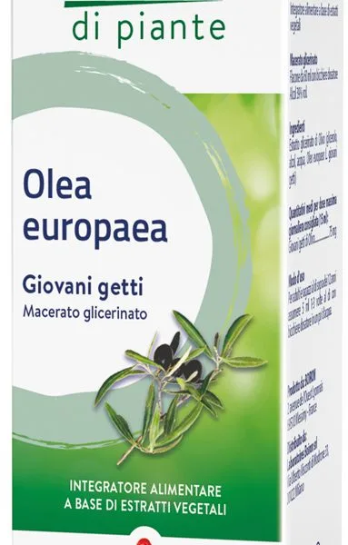 OLEA EUROPAEA BOIRON MACERATO GLICERICO 60 ML