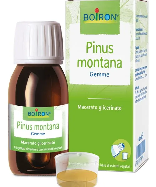 PINUS MONTANA BOIRON MACERATO GLICERICO 60 ML