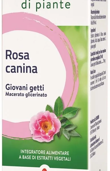 ROSA CANINA BOIRON MACERATO GLICERICO 60 ML