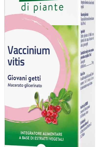 VACCINIUM VITIS MACERATO GLICERICO 60 ML