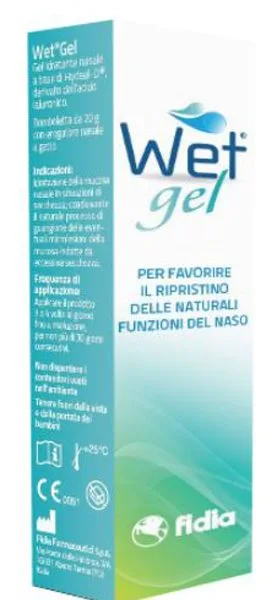 WET GEL 20 G
