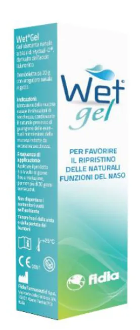 WET GEL 20 G